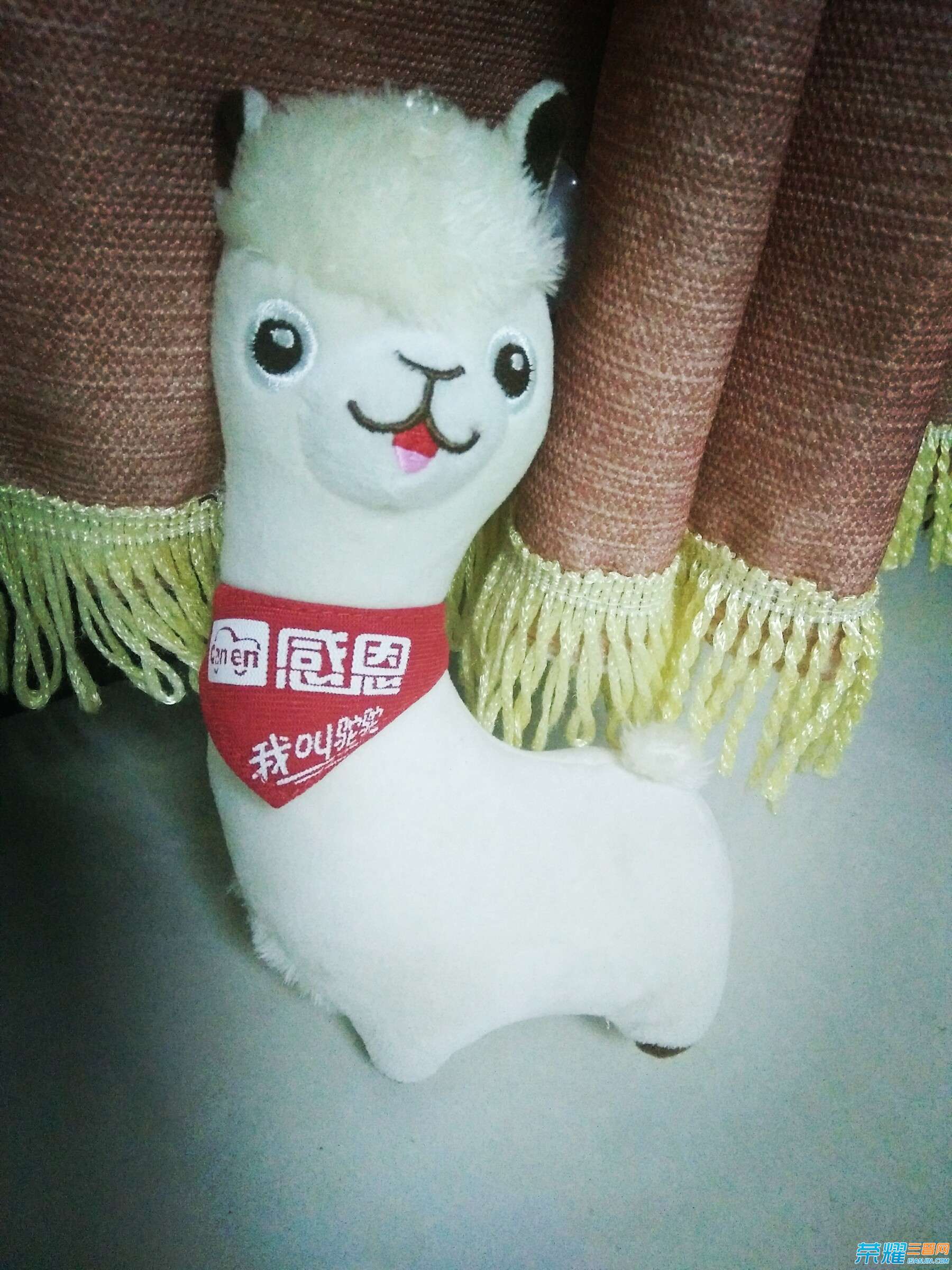 QQ图片20160605214217.jpg