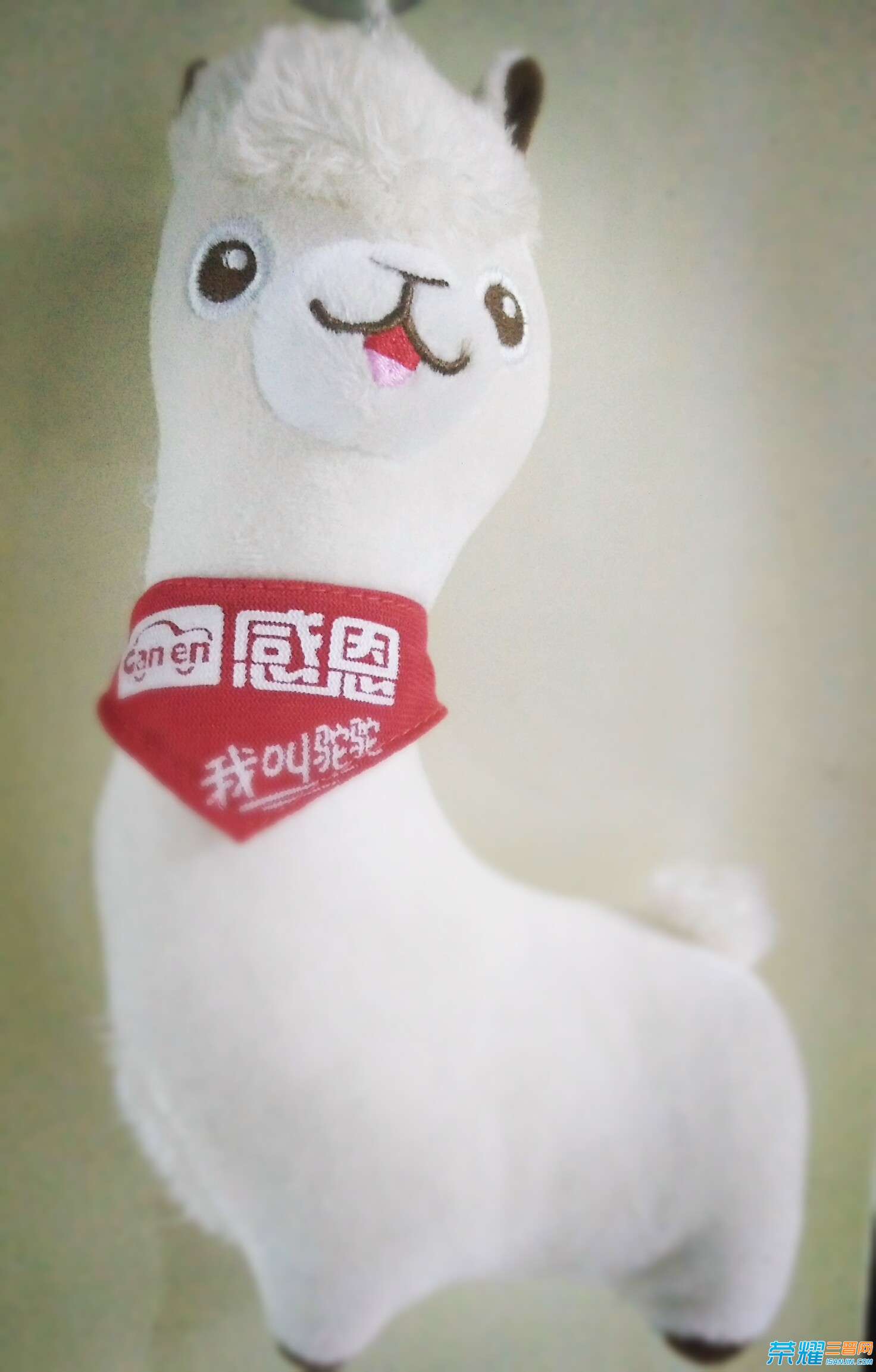 QQ图片20160605214922.jpg