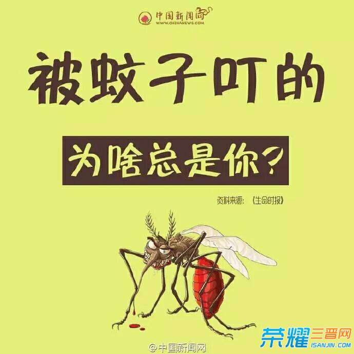 084857jczqti6qq6np9uku.jpg